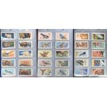 Trade cards, Brooke Bond, (Canada), 3 album's containing 16 complete sets, Birds of North