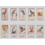 Trade cards, Thomson, Queer Birds (set, 16 cards) (gen gd)