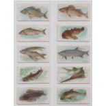 Cigarette cards, USA, Allen & Ginter, Fish From American Waters, standard size, ten cards,