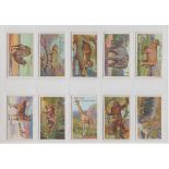 Cigarette cards, Phillips, Animal Series (set, 40 cards) (gd)