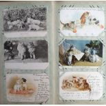 Postcards, vintage album containing approx. 70 cards, Dogs, Cats, animals, social history etc