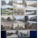 Postcards, Berks, a selection of 14 cards of Berks & Dorset with RP's of Chrysanthemum Show 12 Nov