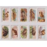 Cigarette cards, USA, Allen & Ginter, Quadrupeds, (set, 50 cards) (a few with slight marks to