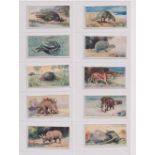 Cigarette cards, BAT, Prehistoric Animals, three complete sets (25 cards in each) (gd) (75)
