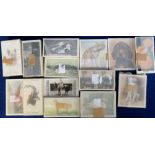 Cigarette cards, a selection of wrapped cards all appear to be complete sets (14), all animal &