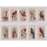 Cigarette cards, USA, Allen & Ginter, Song Birds of the World, (set, 50 cards) (3 with some back