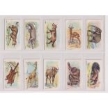 Cigarette cards, Franklyn Davey & Co, Wild Animals of the World, (49/50 missing Black Iguana) (gd)