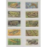 Trade cards, Musgrave Bothers, British Wild Life (set, 50 cards) (ex)