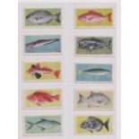 Cigarette cards, UTC (South Africa), African Fish (set, 50 cards) (gd)