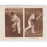 Trade cards, Boys' Magazine, Famous Cricketers in Action, sepia, large paper issue, set of ten in