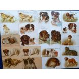 Tony Warr Collection, Postcards, a good selection of approx. 38 cards of animals illustrated by