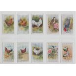 Trade cards, Sanders Bros, Birds, Fowls, Pigeons & Rabbits (24/25, missing no 25) (gd/vg)