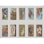 Trade cards, Brooke Bond Rhodesia, Wildlife in Danger (set, 50 cards) (mostly vg)
