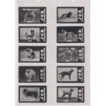 Cigarette cards, Job, Dogs (set, 25 cards) (some slight edge knocks, gen gd)