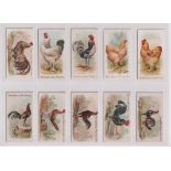 Cigarette cards, USA, Allen & Ginter, Prize & Game Chickens (set, 50 cards) (one with sl back damage