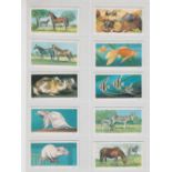 Trade cards, Brooke Bond South Africa, Our Pets (set, 50 cards) (vg)