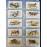 Cigarette cards, modern album containing 10 sets, Adkin's Wild Animals of the World, Butterflies &