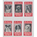 Trade cards, Cadbury's, Dog Series (set, 6 cards) (good) (6)