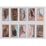 Cigarette cards, Hill's, Animal Series (Crowfoot Cigarettes) (set, 20 cards, plus one anon variation