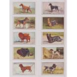 Cigarette cards, Scottish CWS, Dogs (set, 20 cards) (gen gd)