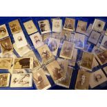 Photographs, a collection of approx. 80 carte de visite photos, mainly portraits, men, women,