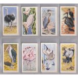 Trade cards, Brooke Bond (Rhodesia), African Birds (set, 50 cards) (vg)