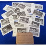 Postcards, Advertising, a collection of 20 Fine Art Prints of Dogs issued by Spratt's Patent Ltd,