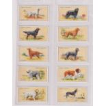 Cigarette cards, Dogs, three sets, Hignett's Dogs (50 cards), Ogden's Dogs (50 cards) & Moustafa Leo