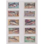 Cigarette cards, two sets, Phillips Fish (25 cards, gd/vg) & Wills Fish & Bait (50 cards, a few