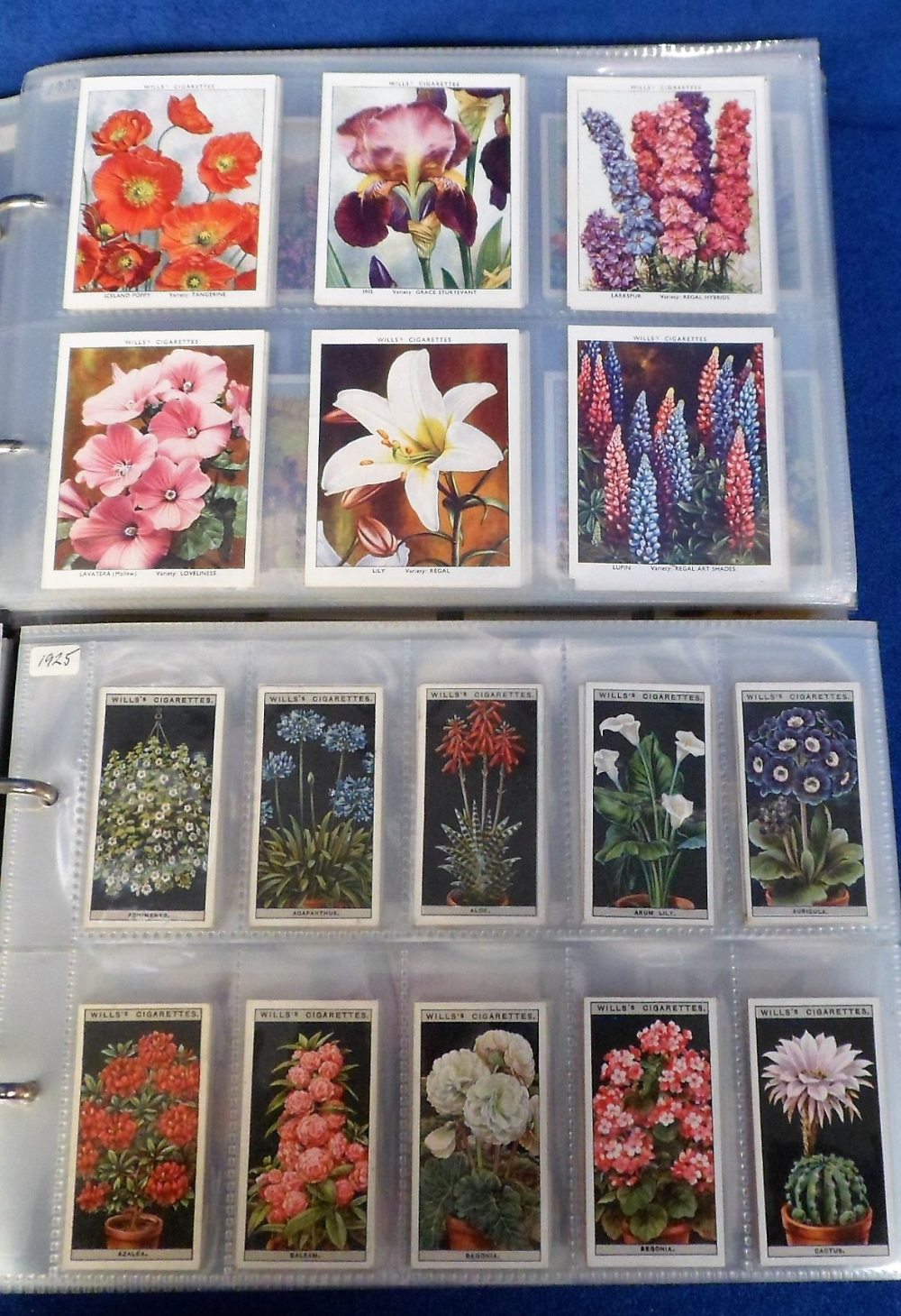 Cigarette & trade cards, two albums packed with sets, part sets & odds all relating to flowers,