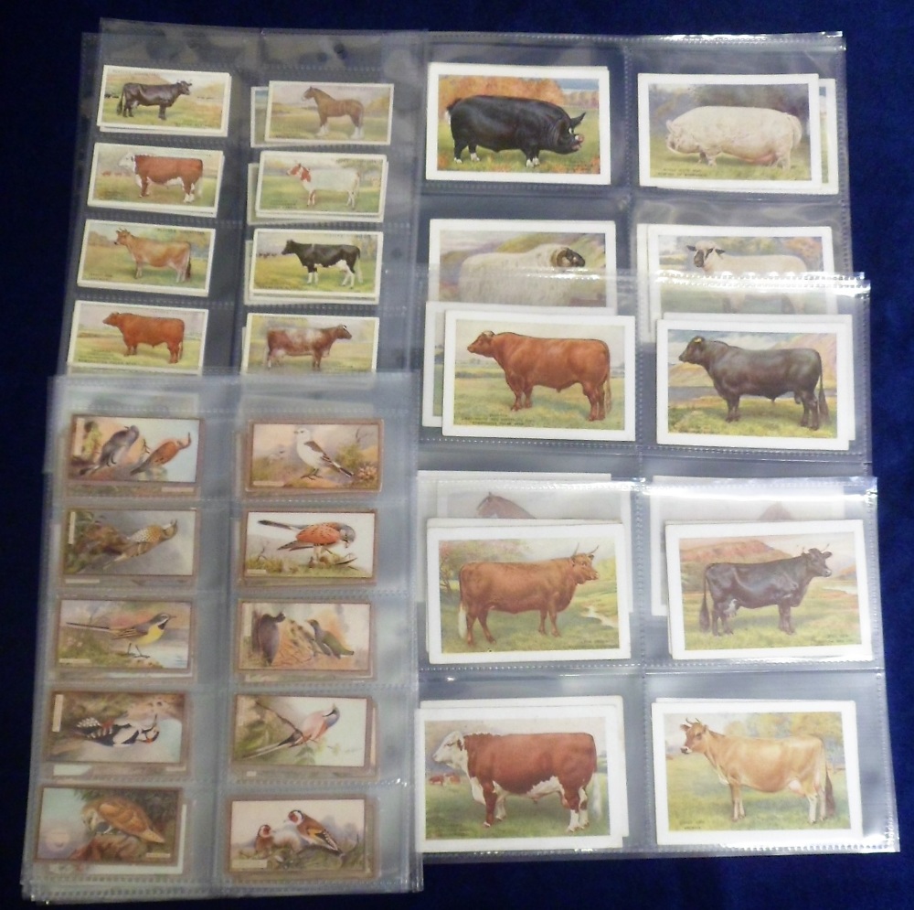 Cigarette cards, Player's, British Live Stock (standard size, 24/25, missing no 1 & 'X' size,