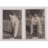 Cigarette cards, Phillips, Cricketers, Premium size, (153 x 111mm), 4 cards, Essex, 45c Reeves, 137c