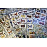 Cigarette & trade cards, Butterflies & Moths, a collection of 20+ sets, various issuers & series