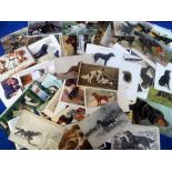 Postcards, Animals, an interesting mixed age selection of approx. 110 cards of dogs, all belonging