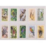 Trade cards, Brooke Bond (Rhodesia), African Birds (set, 50 cards) (vg)
