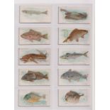 Cigarette cards, USA, Allen & Ginter, Fish From American Waters (standard size), 14 cards (3 with