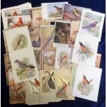 Trade cards & postcards, Birds, Singer Sewing Machines, The American Singer Series, 'X' size (Birds)
