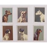 Trade cards, Walker, Harrison & Garthwaites, Dogs, 'M' size, 11 cards, Airedale, Bull Dog, Bull