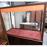 Good early 20th Century mahogany museum five glazed display cabinet by A. Edmonds & Co. Ltd,