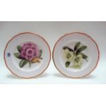 Pair of modern Spode botanical painted cabinet plates, one decorated in Dalhousiae, the other