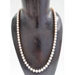 Pearl necklace with 14ct white gold clasp set with a pearl and two sapphires, stamped to the back '