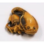 18th/19th Century Japanese ivory carved Netsuke, carved as a cuttlefish and catfish, the base