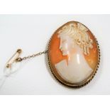 9ct gold mounted shell cameo brooch, height 48mm