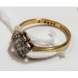 18ct gold & platinum diamond set cluster ring, the nine diamonds of 0.04ct spread approx, weight 2.