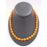 Butterscotch 'amber' bead necklace, length 45cm.
