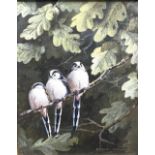 STEPHEN CUMMINS (British 1943) Three Long Tailed Tits on a branch Oil on canvas Signed 29cm x 24cm