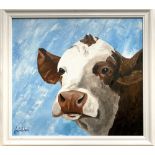 JACKIE WARD (b. 1947) Head of a Cow Oil on board Signed 44.5 x 49cm