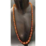 Amber graduated bead necklace with 9K gold clasp, length 68cm