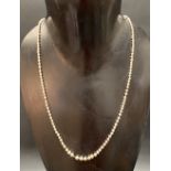 Pearl necklace with 14ct gold diamond set clasp, the four largest diamonds of 0.02ct spread