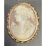 Victorian yellow metal mounted oval shell cameo brooch, the shell carved with a profile of